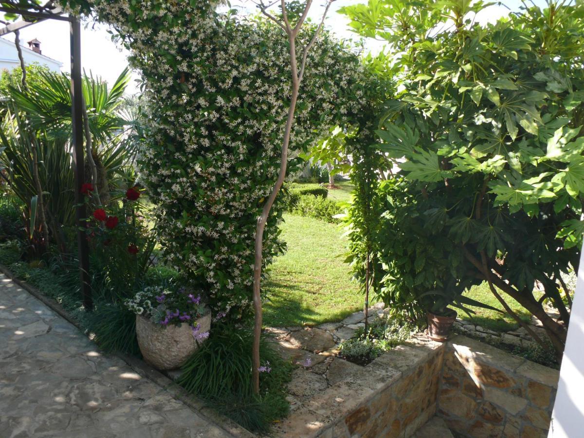 Apartment Marijana بوريتش المظهر الخارجي الصورة