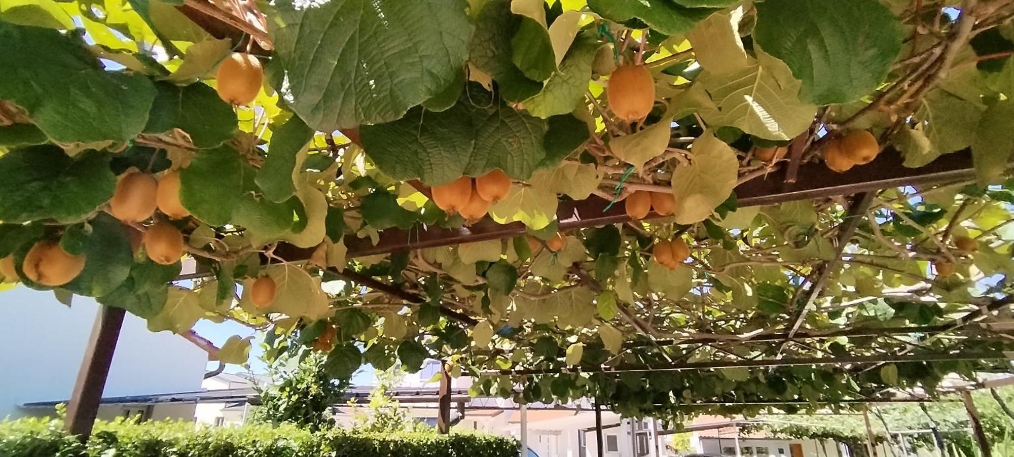 Apartment Marijana بوريتش المظهر الخارجي الصورة